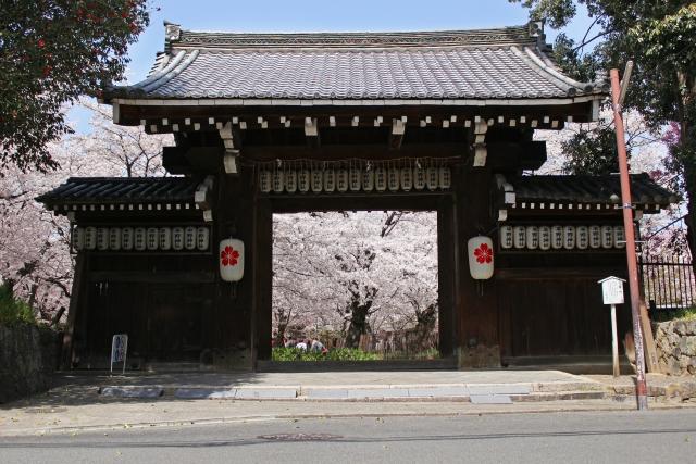 桜が満開の平野神社